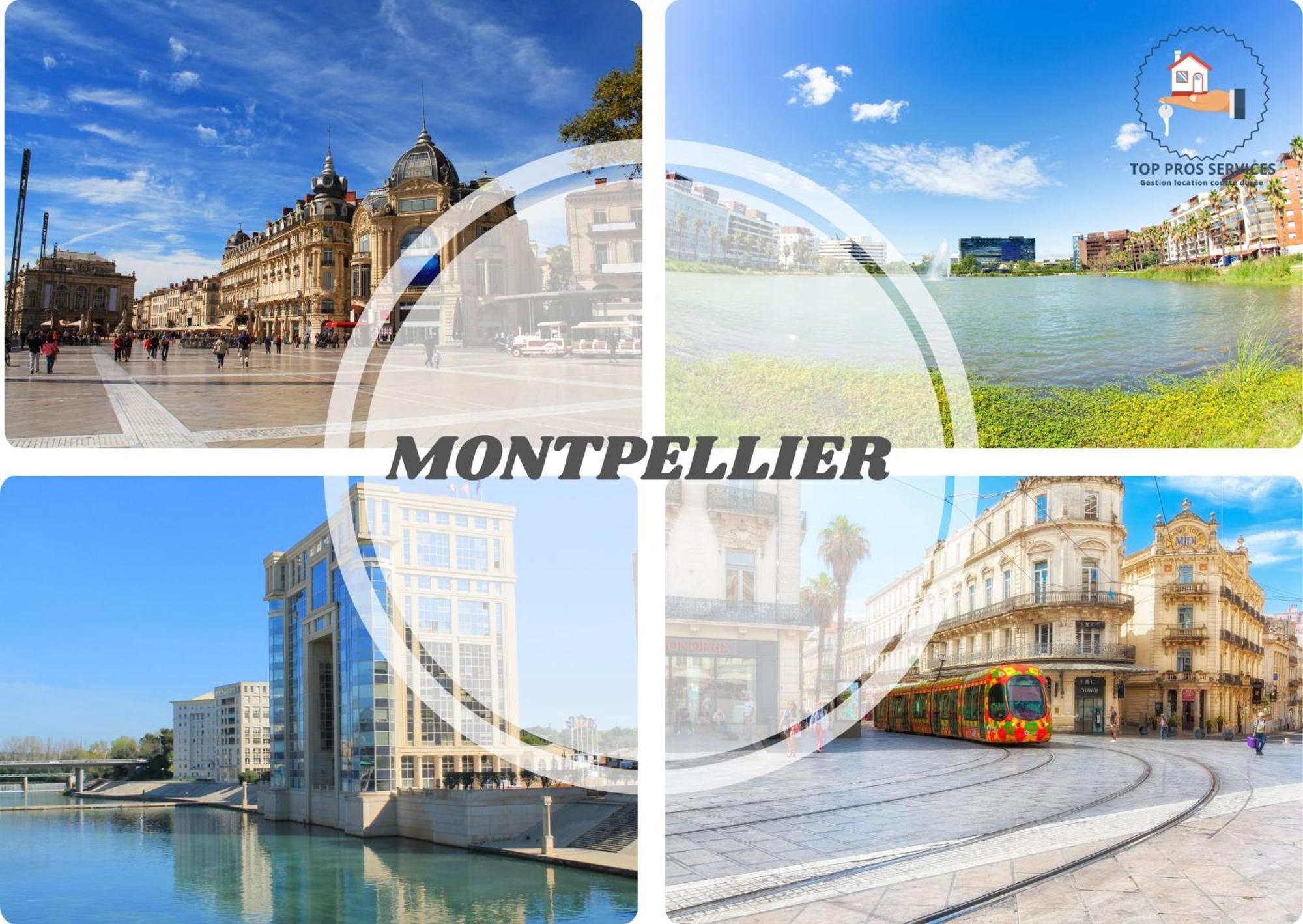 Le Cosy Wifi Clim Jardin Top Pros Servicesconciergerie Montpellier Eksteriør bilde